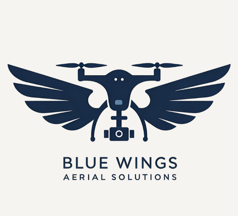 Bluewings Drone Logo